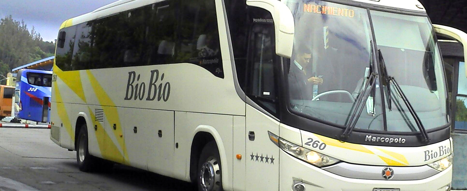 Bus de Buses Bío Bío viajando por Chile