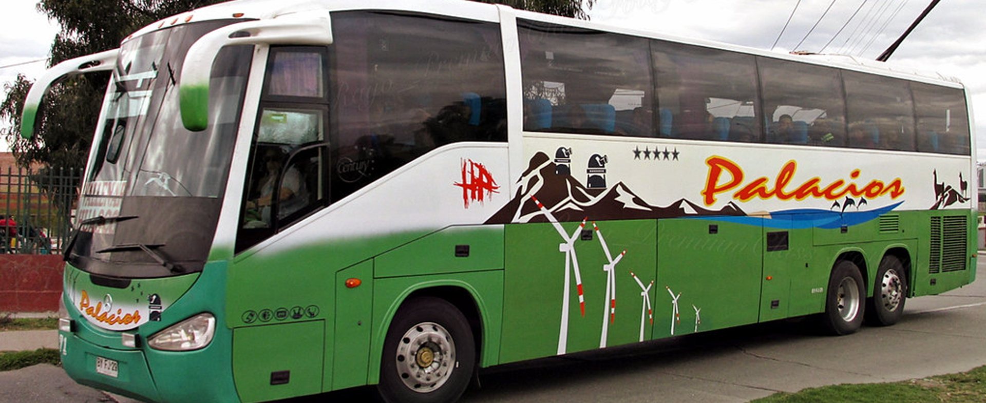 Bus de Buses Palacios viajando por Chile