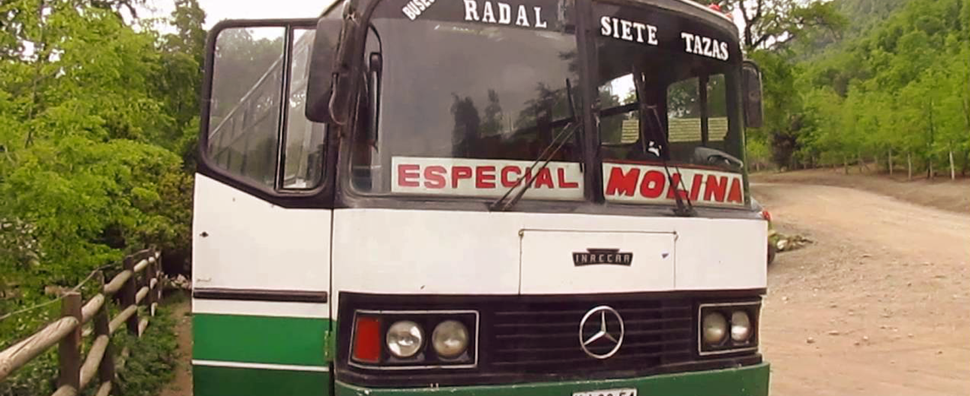 Buses Radal 7 Tazas travelling in Chile